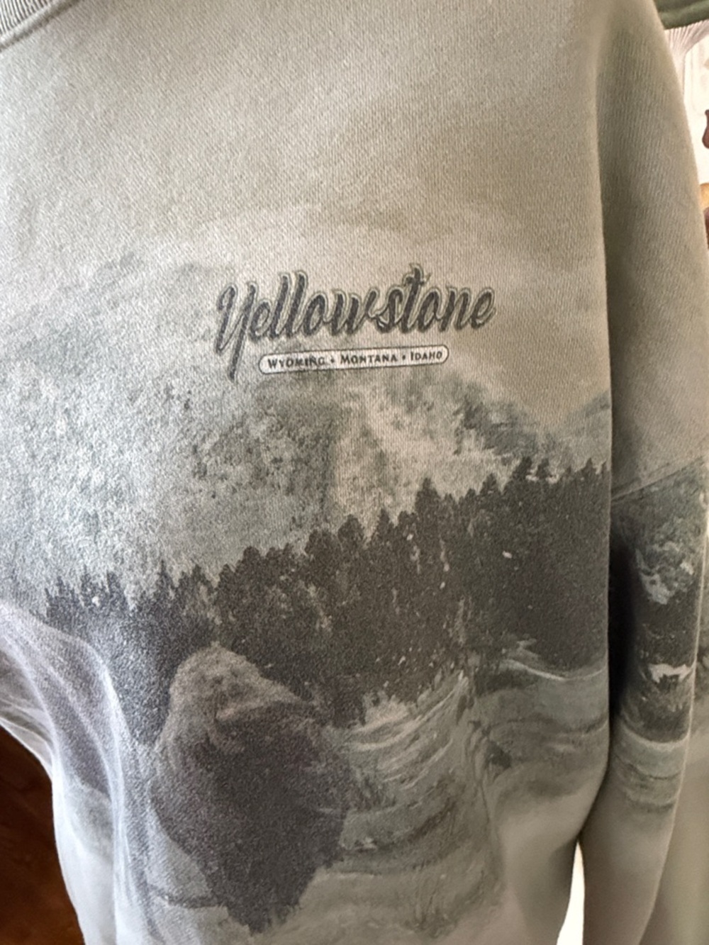 Abercrombie & Fitch Sage Green Graphic Crewneck Sweatshirt - Picture 4 of 6
